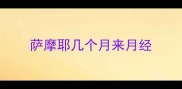 萨摩耶几个月来月经