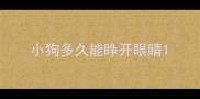 小狗多久能睁开眼睛