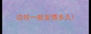 边牧一般发情多久