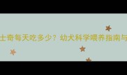 4个月大哈士奇每天吃多少幼犬科学喂养指南与常见误区