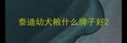 泰迪幼犬粮什么牌子好