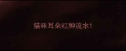 猫咪耳朵红肿流水