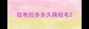 拉布拉多多久换短毛