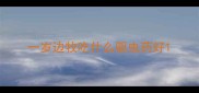 一岁边牧吃什么驱虫药好
