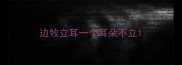 边牧立耳一个耳朵不立
