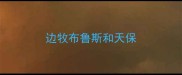边牧布鲁斯和天保