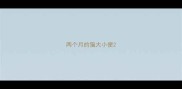 两个月的猫大小便