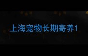 上海宠物长期寄养