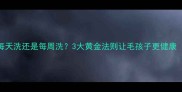 狗狗洗澡频率大每天洗还是每周洗3大黄金法则让毛孩子更健康附正确洗澡教程
