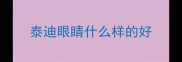 泰迪眼睛什么样的好