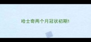 哈士奇两个月冠状初期
