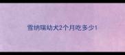 雪纳瑞幼犬2个月吃多少