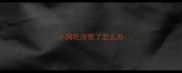 小狗吃洋葱了怎么办