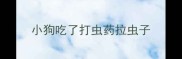 小狗吃了打虫药拉虫子