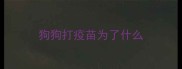狗狗打疫苗为了什么