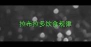 拉布拉多饮食规律