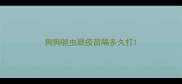 狗狗驱虫跟疫苗隔多久打