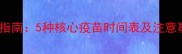 幼犬疫苗接种全指南5种核心疫苗时间表及注意事项最新版