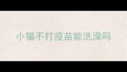 小猫不打疫苗能洗澡吗