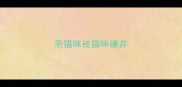 亲猫咪被猫咪嫌弃