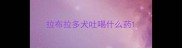 拉布拉多犬吐喝什么药