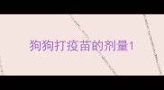 狗狗打疫苗的剂量
