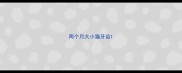 两个月大小猫牙齿