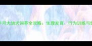 拉布拉多7个半月大幼犬饲养全攻略生理发育行为训练与健康管理指南