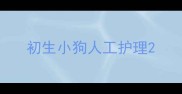 初生小狗人工护理