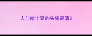 人与哈士奇的头像高清