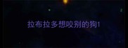拉布拉多想咬别的狗