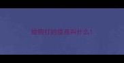 给狗打的疫苗叫什么