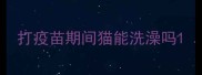 打疫苗期间猫能洗澡吗