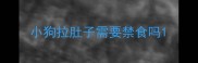 小狗拉肚子需要禁食吗