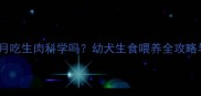 萨摩耶6个月吃生肉科学吗幼犬生食喂养全攻略与风险提示