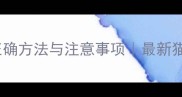 猫咪洗澡的正确方法与注意事项最新猫咪清洁指南