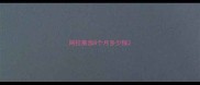 阿拉斯加8个月多少钱