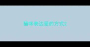 猫咪表达爱的方式