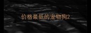 价格最低的宠物狗