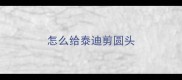 怎么给泰迪剪圆头