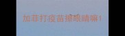 加菲打疫苗擦眼睛嘛