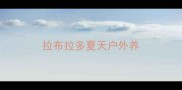 拉布拉多夏天户外养