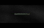 泰迪狗狗孕后吃什么