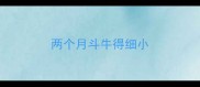 两个月斗牛得细小