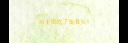 哈士奇吃了鱼骨头