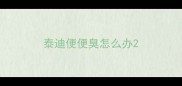 泰迪便便臭怎么办