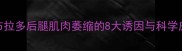 症状拉布拉多后腿肌肉萎缩的8大诱因与科学应对指南