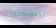 2个月幼犬抽搐几下