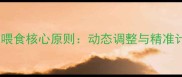 边牧喂食核心原则动态调整与精准计量