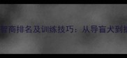 最全宠物狗智商排名及训练技巧从导盲犬到拆家王的全